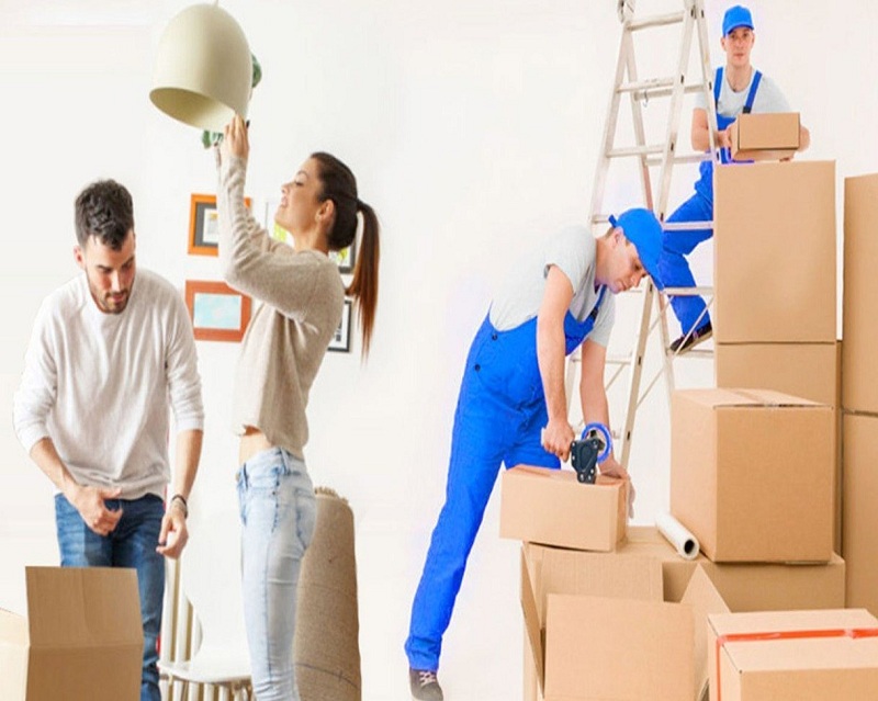 Safe And Reliable Packers in Gurugram